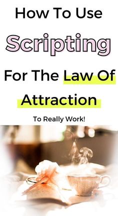 a book with the title how to use scripting for the law of attraction