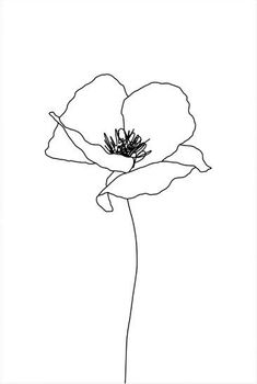 a black and white drawing of a flower on a white background, with the outline of a single flower