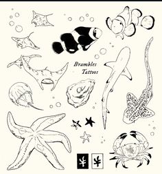 some sea animals and fish are drawn in black ink on white paper with the words,'freehand tattoos '