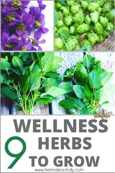 the words,'9 health benefits of herbs to grow'are shown in this collage