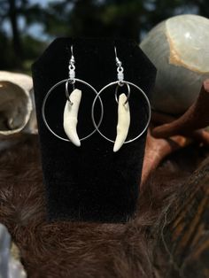 Fish hook style sterling silver earrings. Featuring genuine coyote teeth. Earring dangle is approximately 1.75 inches long.  This listing is for the exact pair of earrings shown. Cruelty free - Ethically sourced As the materials used come from nature they can be delicate. They may break if bent or smashed. It is advised that you not submerge them in water for long periods of time (wearing while swimming, showering, etc) as this may cause the materials to weaken or break down. Bf Gifts, Sterling Silver Earrings, Silver Earrings, Favorite Jewelry, Jewelry Earrings Dangle, Etsy Earrings, Dangle Drop Earrings, Dangle Earrings, Jewelry Earrings