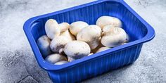 a blue container filled with white mushrooms on top of a cement floor covered in dirt