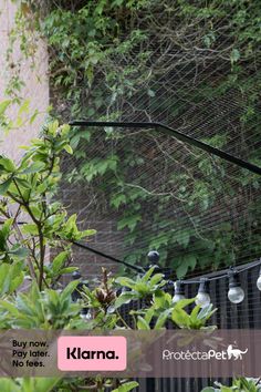 there is a bird perched on top of a light pole in front of a fence