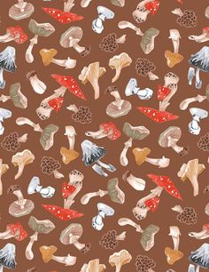 an image of mushrooms and mushrooms on brown background