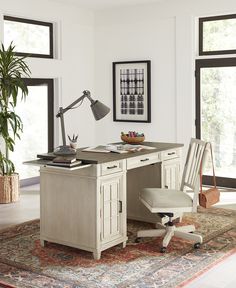 an office with a desk, chair and potted plant on the rug in front of it