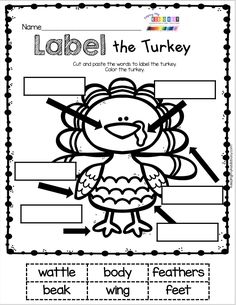 a turkey worksheet with labels for label the turkey and write the words below