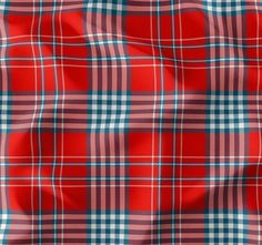 a red and blue plaid fabric