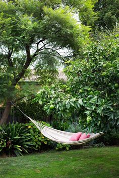 a hammock hanging between two trees in a garden