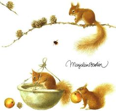 two squirrels in a bowl with pine cones and acorns on the tree branch