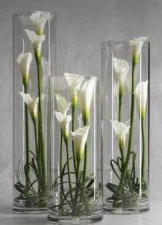 three clear vases with white flowers in them on a gray surface, one is filled with water and the other has green stems