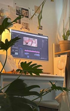 a computer monitor sitting on top of a desk next to a potted green plant