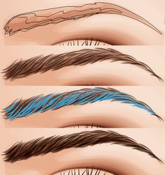 the different types of eyebrows are shown in this drawing style, including long lashes and short brows