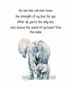 an elephant and her baby are shown in this watercolor painting with the words, no one else will ever know the strength of my love for you after all