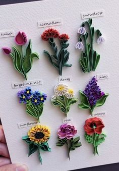 a person holding up a card with different flowers on it and the words cut out