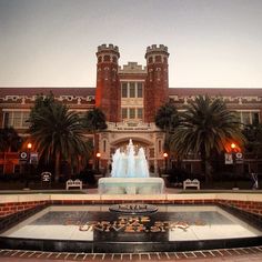 a fountain in front of a large building with palm trees and lights on either side