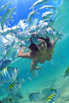 a woman swimming in the ocean surrounded by fish