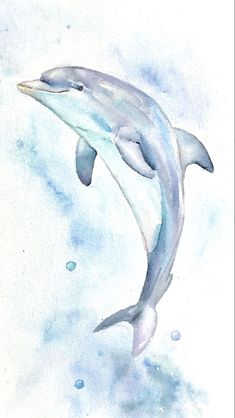 a watercolor painting of a dolphin jumping in the air