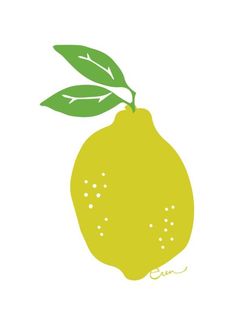 Erin Flett, Lemon Wall Art, Umbrella Drawing, Art College, Mid Century Illustration, Artfully Walls, Artist Wall, Adobe Illustrator Tutorials