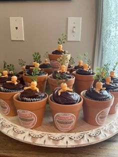 cupcakes are arranged in flower pots on a tray