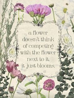 a flower doesn't think of competing with the flower next to it, just blooms