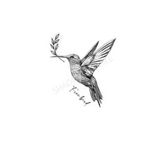 a black and white drawing of a hummingbird flying with its beak open, holding a twig in it's mouth