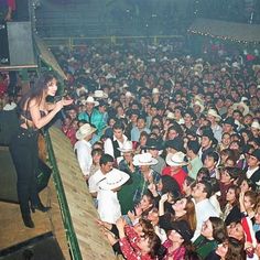 a large group of people at a concert