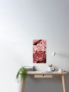 pink roses are arranged on a table in front of a white wall with a potted plant