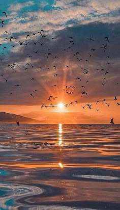 a flock of birds flying over the ocean at sunset