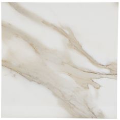 24x24 Calacatta Gold Polished porcelain tile - Industry Tile Calacatta Tile, Lake House Kitchen, Polished Porcelain Tiles, Silver Walls, Calacatta Gold, Bathroom Remodel Designs, Tile Projects, Porcelain Tiles, Porcelain Flooring