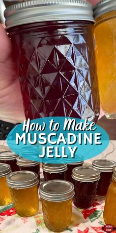 how to make muscadine jelly in jars with text overlay that reads, how to make muscadine jelly