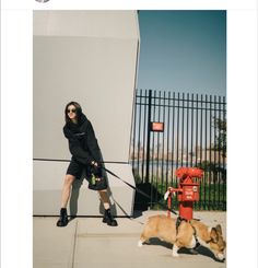 a woman is walking her dog on a leash near a fire hydrant and fence