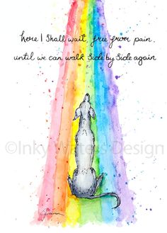 Bridge Images, Rainbow Quotes, A Rainbow, Greeting Card, Bridge, Rainbow, Dogs