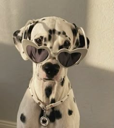 a dalmatian dog wearing heart shaped sunglasses