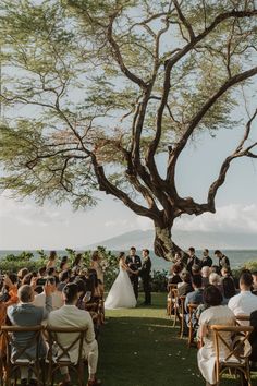 an outdoor wedding under a tree with people sitting at the chairs and one person standing up