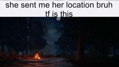 a fire in the middle of a forest at night with text that reads, she sent me her location bruh if is this