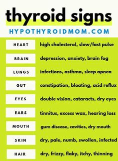 Thyroid Issues Signs, Hypothyroid Diet, Thyroid Healthy Foods, Hypothyroid Symptoms, Foods For Thyroid Health, Thyroid Healing, Thyroid Symptoms, Thyroid Support, Hashimotos Disease