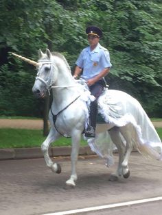 a police officer riding on the back of a white horse down a street with trees in the background