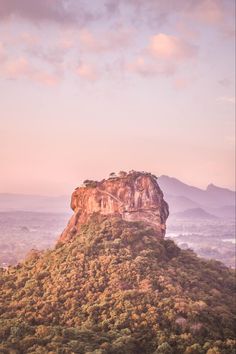 the top of a mountain with trees on it