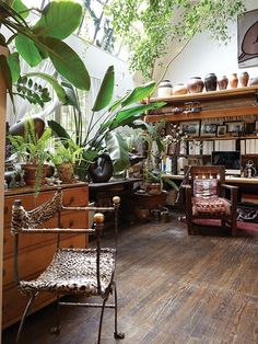 a room filled with lots of potted plants next to a wooden desk and chair