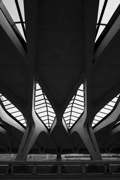 black and white photograph of the inside of a train station with multiple roof lines on each side