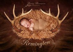 a baby is wrapped up in a deer antlers'nest with the words fermington on it