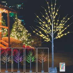 lighted trees in front of a building at night with different color lights on the branches