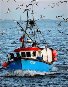 a fishing boat with seagulls flying around it