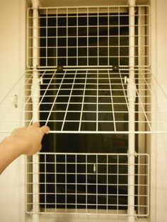 a person is pointing at a cage on the wall