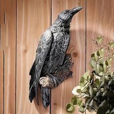 a black bird sitting on top of a wooden wall next to a potted plant