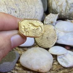 a gold ring with a horse on it sitting in front of rocks and seashells