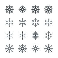 twelve snowflakes are shown on a white background