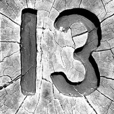 the number thirteen carved into a tree trunk