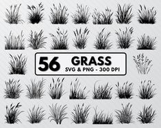 50 grass svg and png - 300 dpi