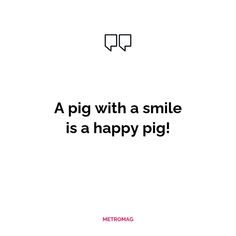 a pig with a smile is a happy pig